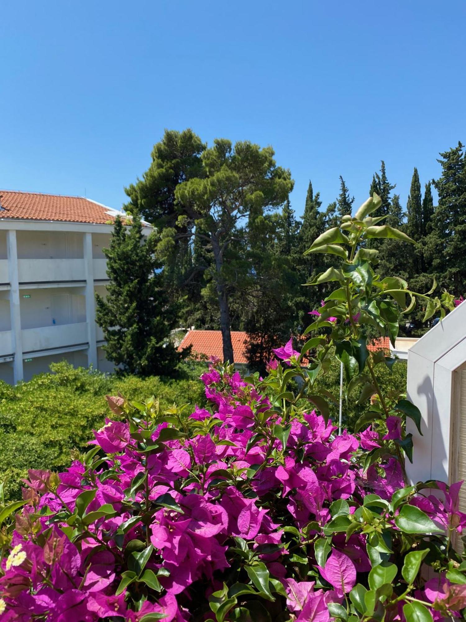 Apartmani Dusanka Orebic Luaran gambar