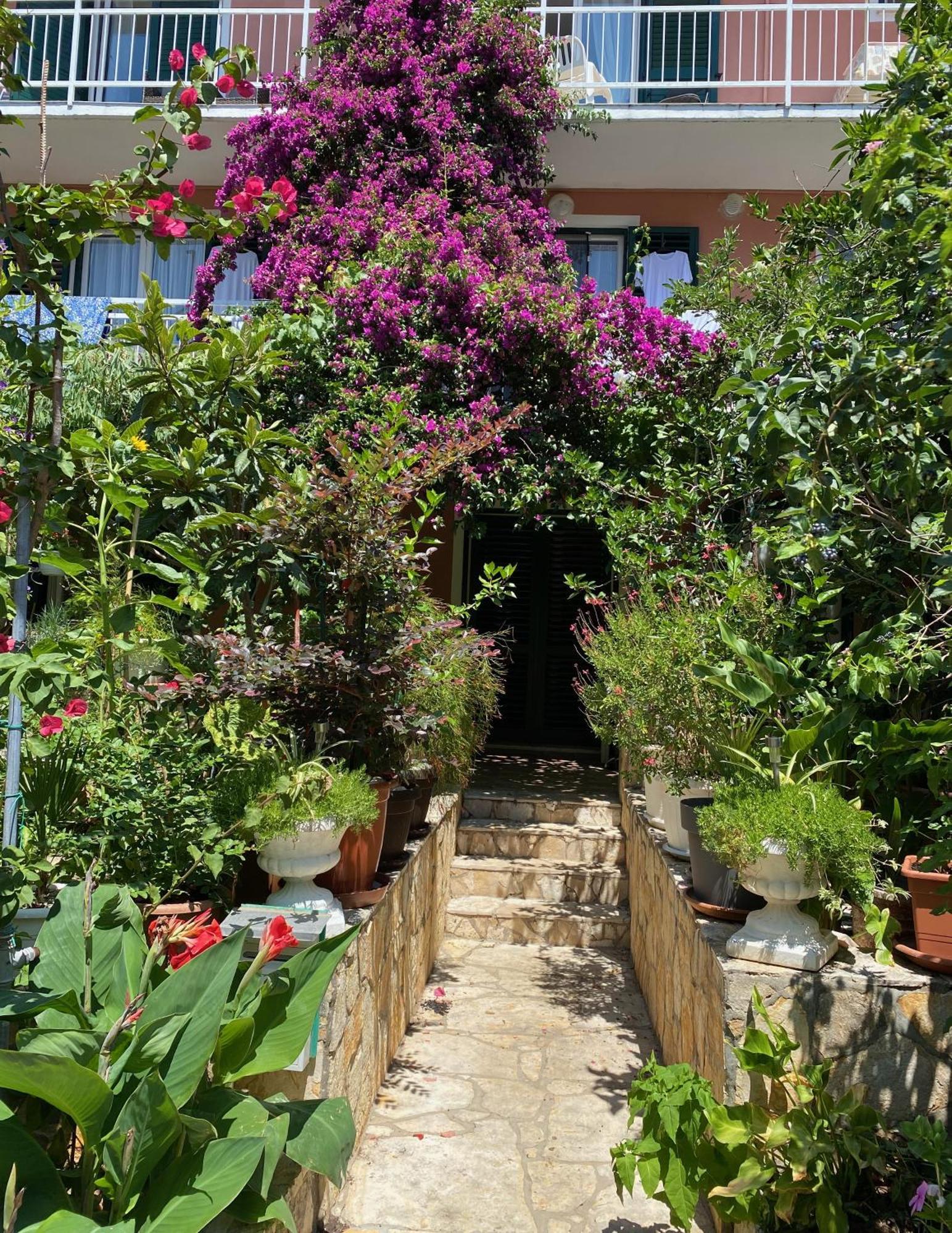 Apartmani Dusanka Orebic Luaran gambar